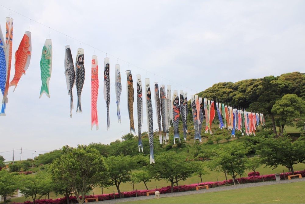 ＤＪゴン太さんが投稿したあらさわふる里公園に関する口コミの画像