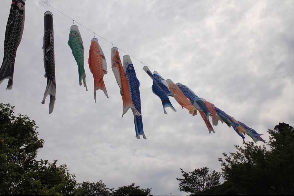 ＤＪゴン太さんが投稿したあらさわふる里公園に関する口コミの画像