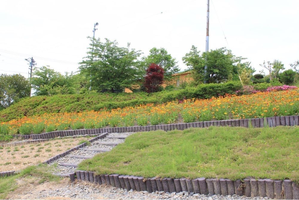 ＤＪゴン太さんが投稿したあらさわふる里公園に関する口コミの画像