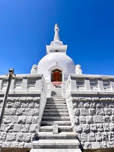 平和公園の桜 1枚目