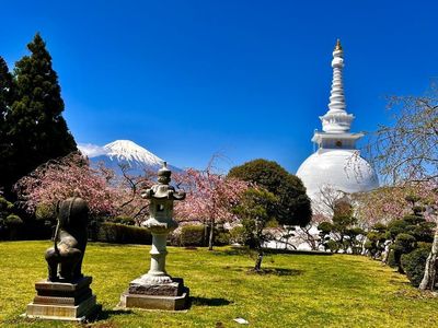 平和公園の桜 4枚目