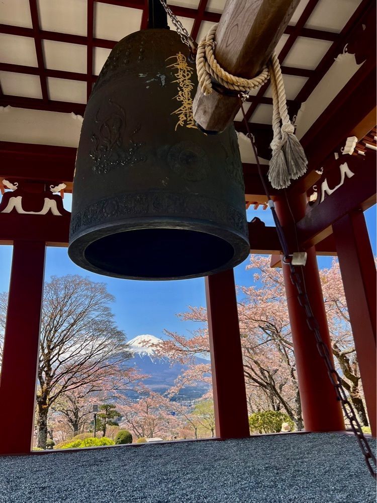 ビンカさんが投稿した平和公園の桜に関する口コミの画像