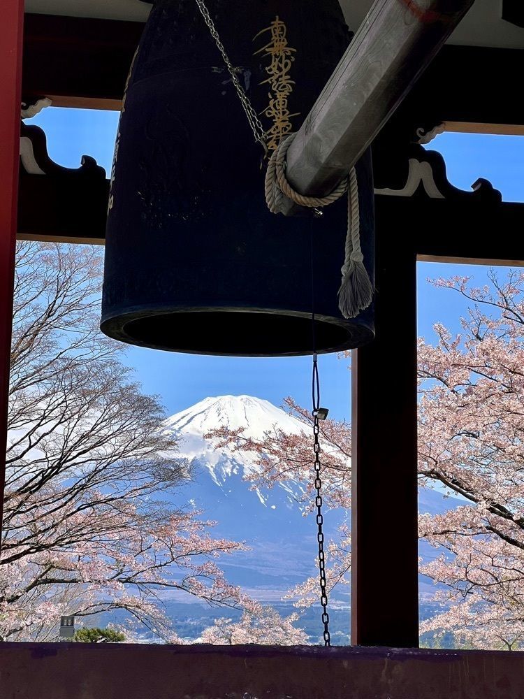 ビンカさんが投稿した平和公園の桜に関する口コミの画像