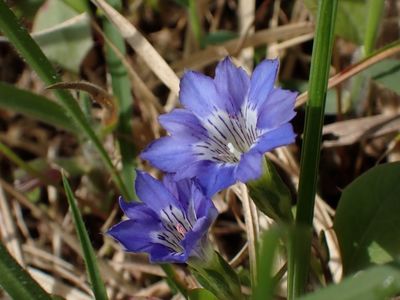 小國神社 1枚目