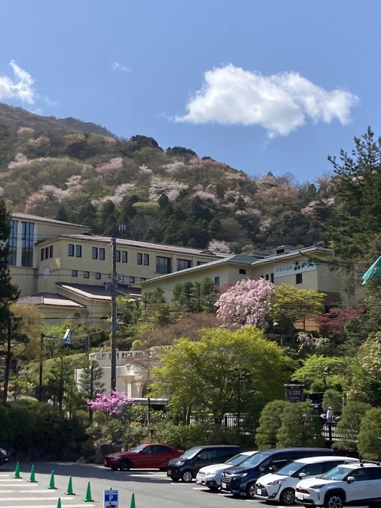 delicious_museum_7212さんが投稿した箱根ホテル小涌園に関する口コミの画像