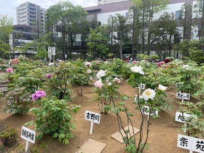 施設画像