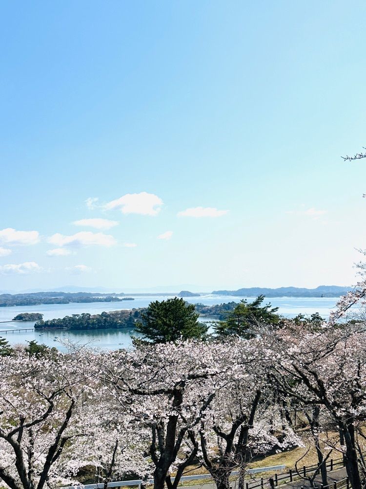 かめ_メグミさんが投稿したかき松島こうは 松島海岸駅前2号店に関する口コミの画像