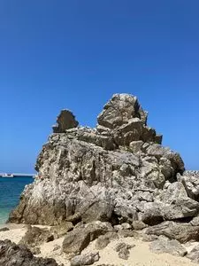 ゴリラチョップ