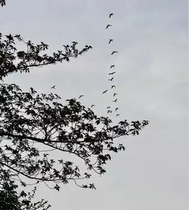 クライミングジムサイファー