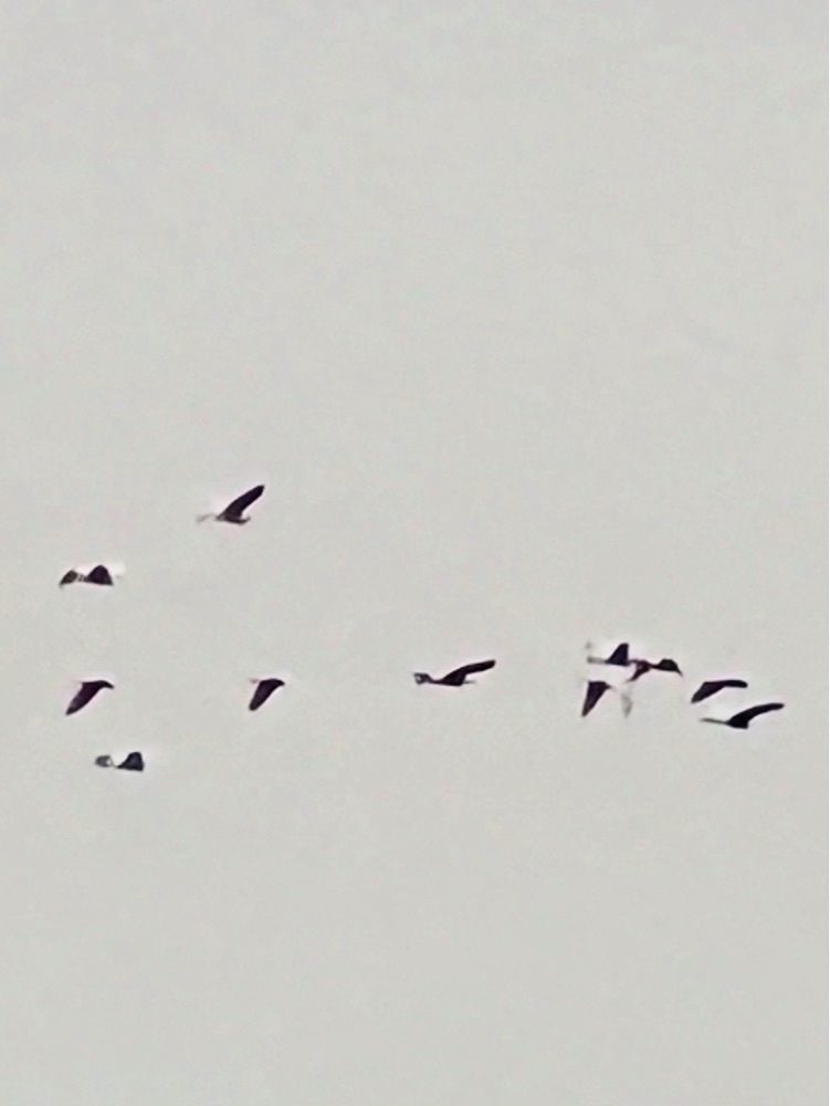 ビンカさんが投稿したクライミングジムサイファーに関する口コミの画像