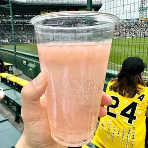 アルプス食堂