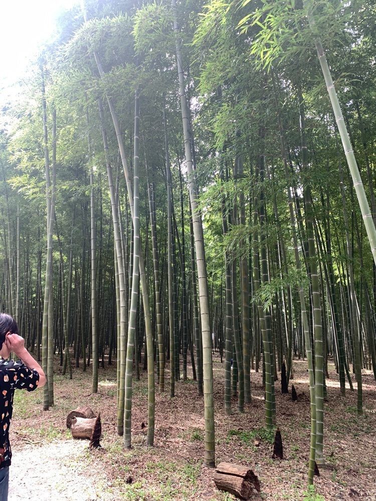 かよさんが投稿したとり茂に関する口コミの画像
