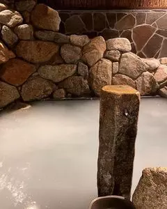 天然温泉 別府八湯 御宿野乃別府