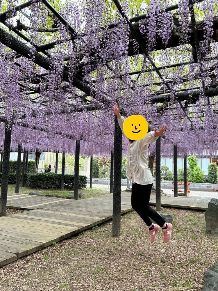 DREAMさんが投稿した熊野の長フジ（行興寺）に関する口コミの画像