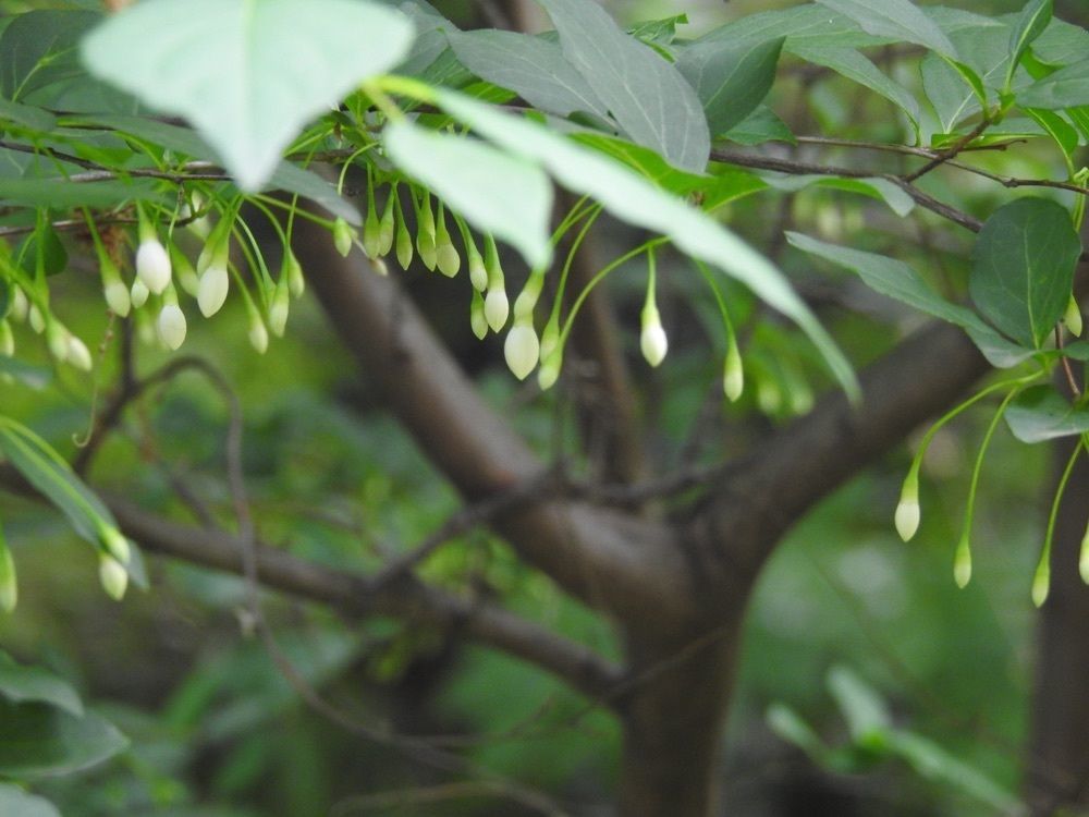 junkunさんが投稿した蕎麦 ひびき庵（ひびきあん）に関する口コミの画像