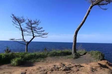加佐の岬
