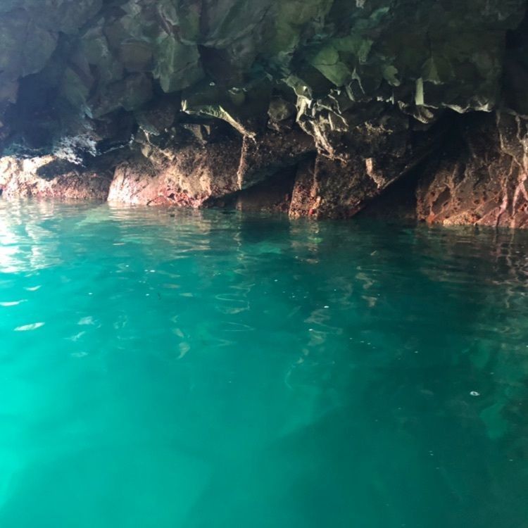 sa_12さんが投稿した浄土ヶ浜マリンハウスに関する口コミの画像