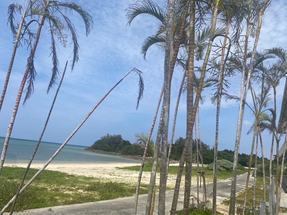 ゴンさんが投稿したOn the Beach CAFEに関する口コミの画像
