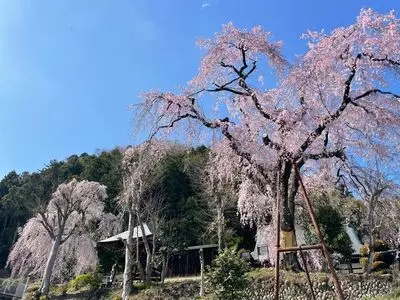 梅岩寺