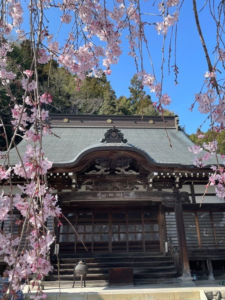 R.i.nさんが投稿した梅岩寺に関する口コミの画像