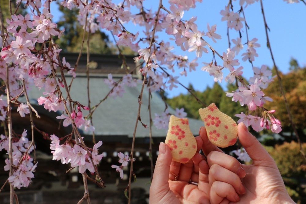 R.i.nさんが投稿した梅岩寺に関する口コミの画像