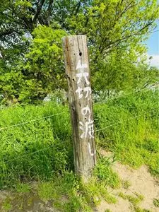 矢切りの渡し