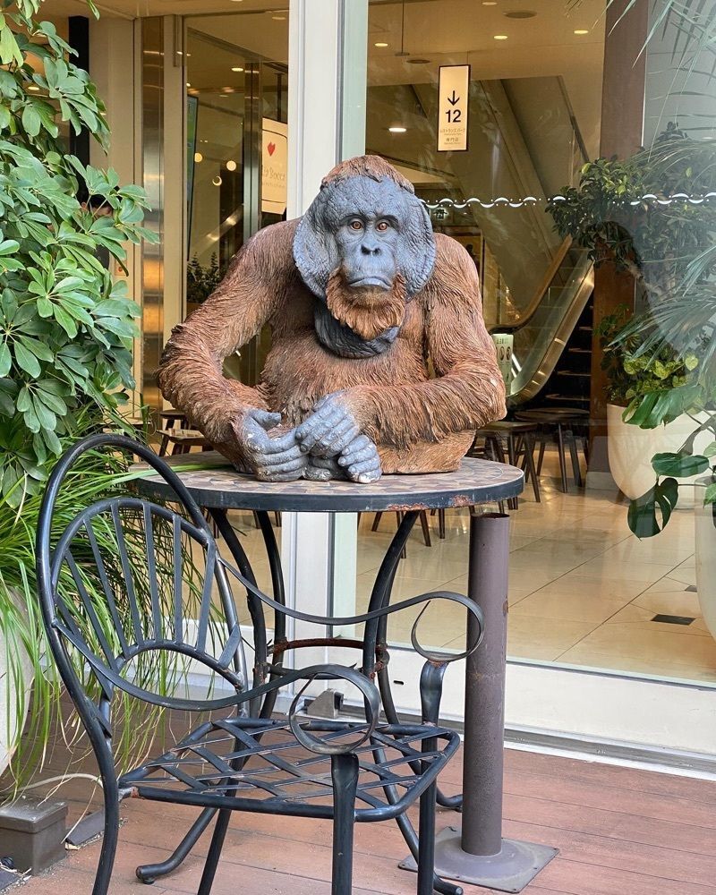 ajisaiさんが投稿したSITAARA Grove （シターラ グローブ）に関する口コミの画像