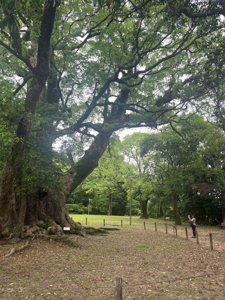 ponponao②さんが投稿した諫早城址に関する口コミの画像