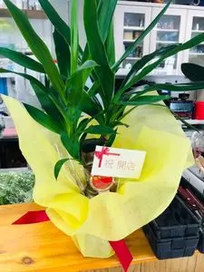 はま寿司 鴻巣新宿店