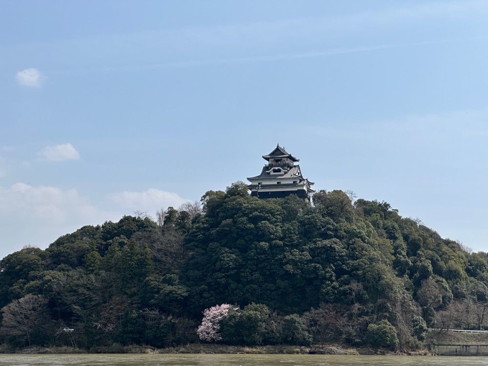 JM-リカレさんが投稿したプラシッダに関する口コミの画像