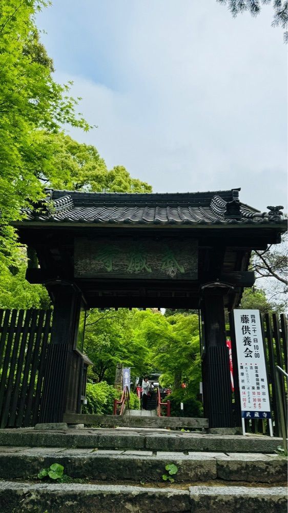surumeさんが投稿した武蔵寺に関する口コミの画像