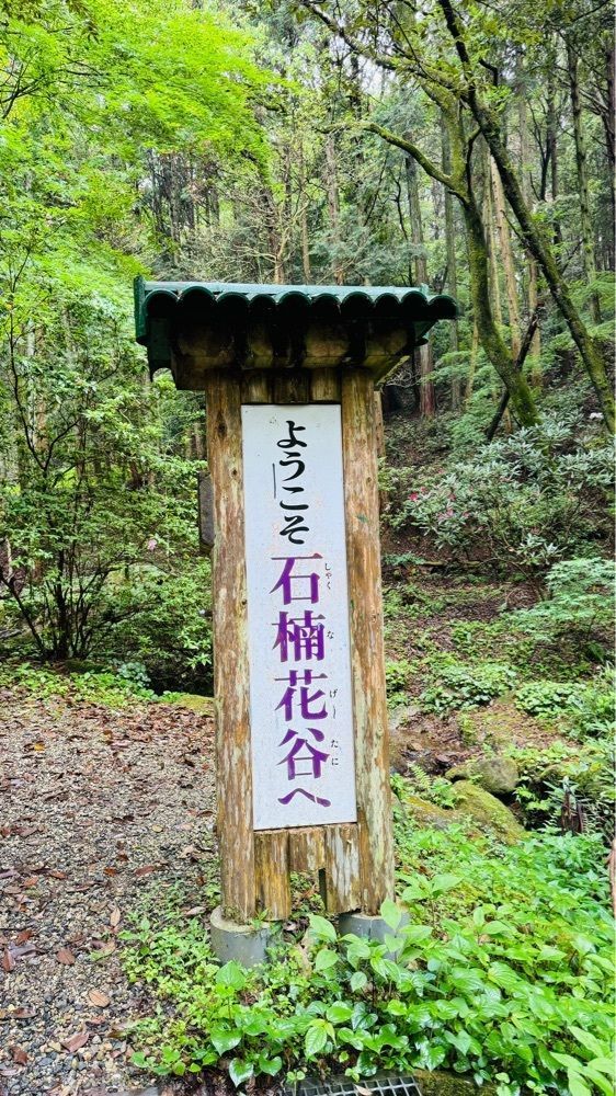 surumeさんが投稿した武蔵寺に関する口コミの画像