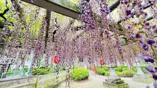 大中臣神社楼門