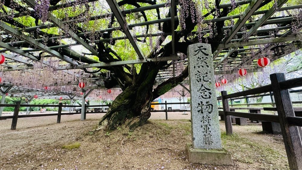 surumeさんが投稿した大中臣神社楼門に関する口コミの画像