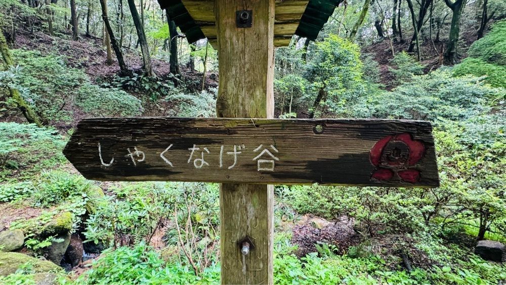 surumeさんが投稿した九州自然歩道天拝山コースに関する口コミの画像