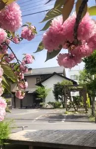 うなぎ馳走 八嶋
