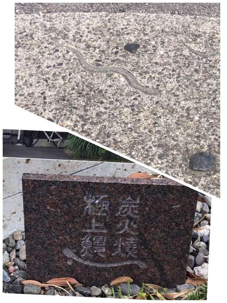 take.aさんが投稿したうなぎ馳走 八嶋に関する口コミの画像