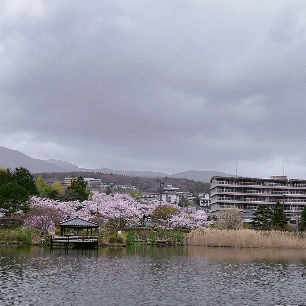 choco mintさんが投稿した岳温泉に関する口コミの画像