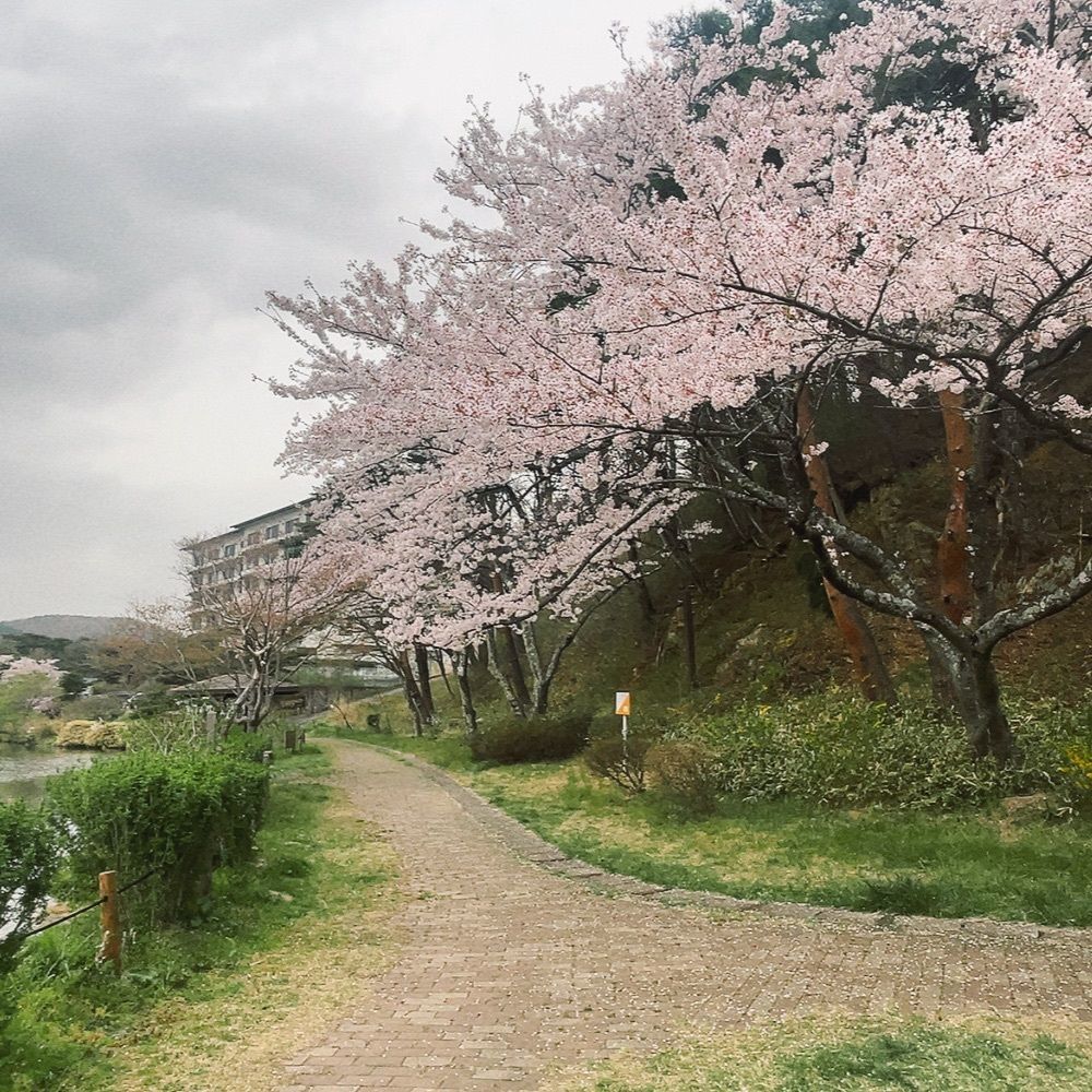 choco mintさんが投稿した岳温泉に関する口コミの画像