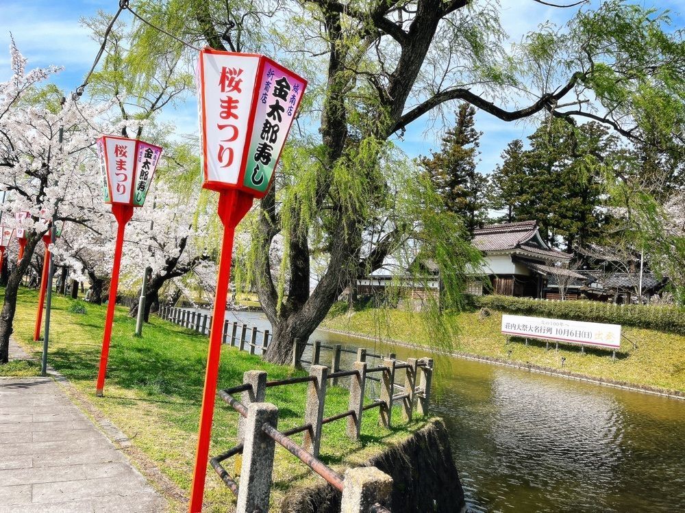 猫なぎ。さんが投稿した大宝館に関する口コミの画像
