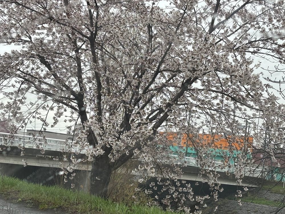 それなはとけさんが投稿したダルセーニョ（Dalsegno）に関する口コミの画像