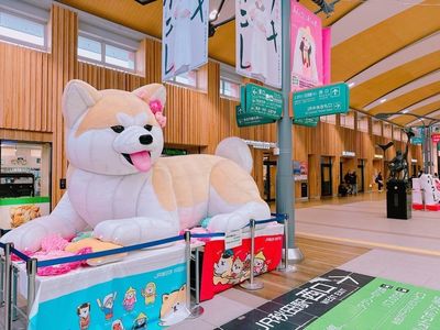 施設画像