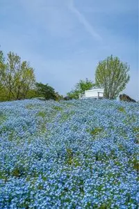 大分農業文化公園