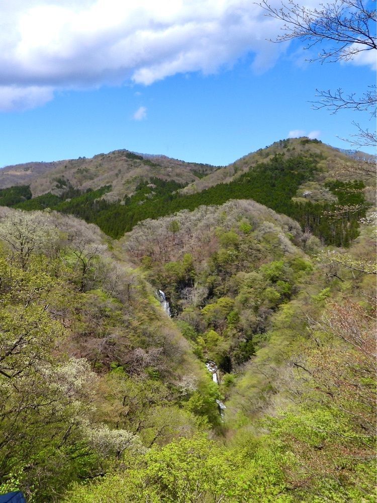 calm_gift_1030さんが投稿した山のレストランに関する口コミの画像