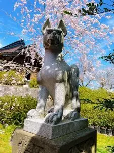 鶴岡公園