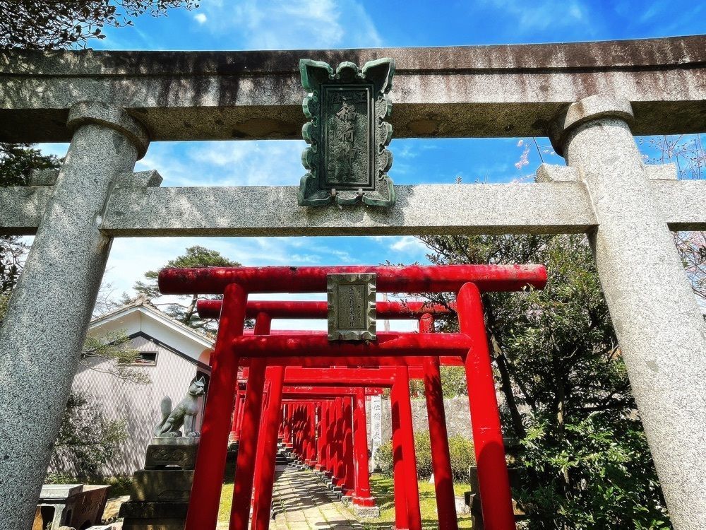 猫なぎ。さんが投稿した鶴岡公園に関する口コミの画像