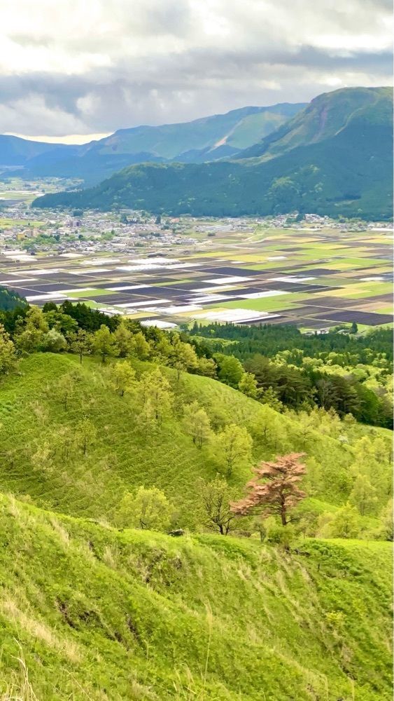 Satoshi.Nさんが投稿した阿蘇市に関する口コミの画像