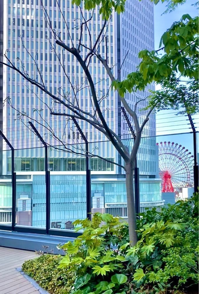 カランさんが投稿した大阪ステーションシティに関する口コミの画像