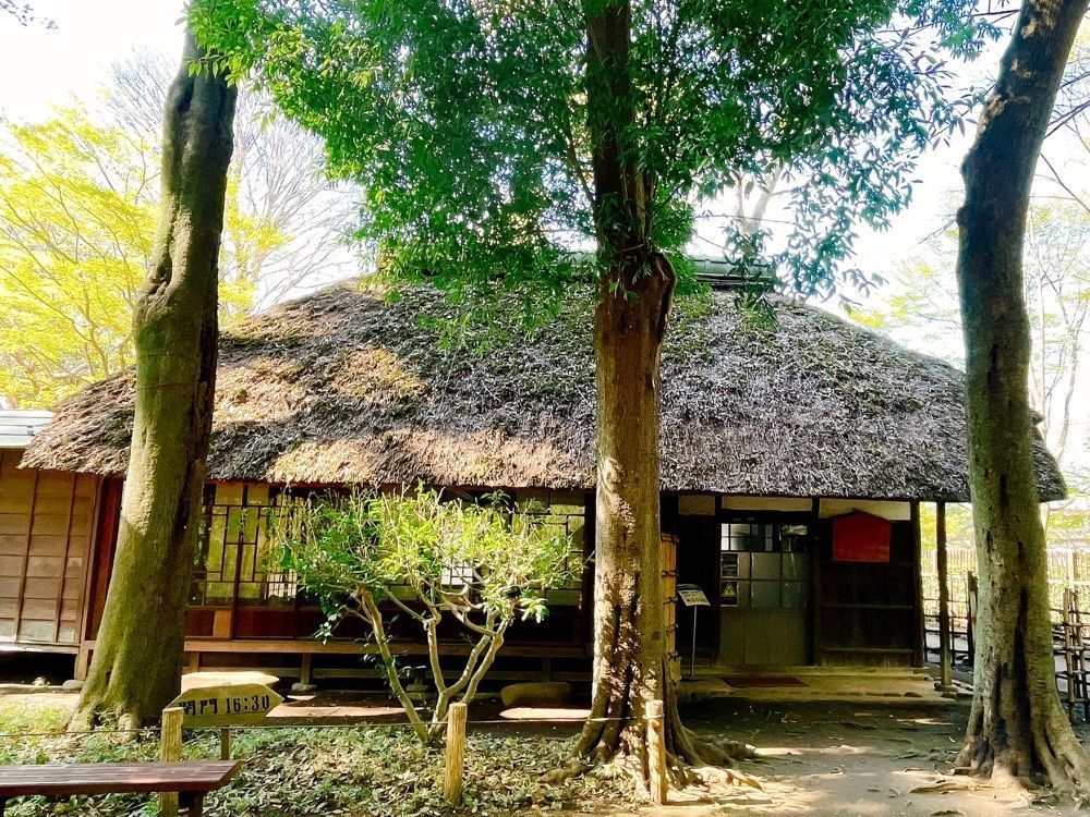 active34さんが投稿した蘆花恒春園に関する口コミの画像