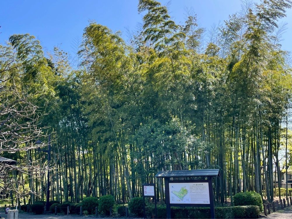 active34さんが投稿した蘆花恒春園に関する口コミの画像